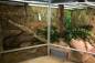 Preview: Captive Habitats - Building, furnishing and maintaining